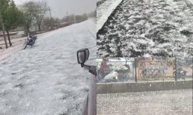 मार्च महीने की शुरुआत पहाड़ों पर बर्फबारी और बारिश के साथ हुई, बर्फबारी और हीटवेव का अलर्ट