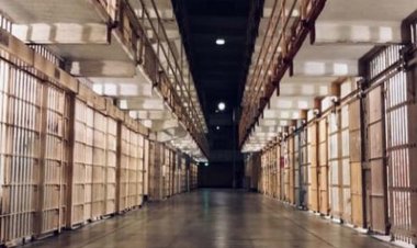 वन्यप्राणी अवयवों की तस्करी के आरोपी की जमानत माननीय जिला एवं सत्र न्यायालय नर्मदापुरम से हुई निरस्त