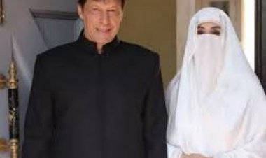 पर्स और तिजोरी हैं खाली? शुक्रवार के दिन करें कमलगट्टे के 5 सटीक उपाय