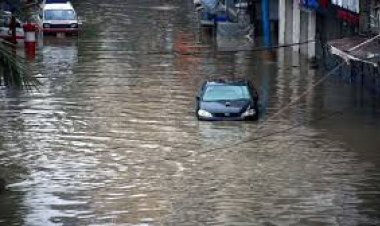 ब्राज़ील के दक्षिणी इलाकों में बाढ़ के चलते 55 लोगों की मौत, 74 लापता