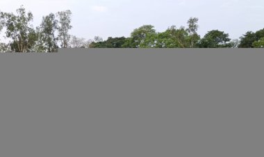 बेमौसम बारिश,साप्ताहिक बाजार सहित कारोबारियों को पहुंचाया नुकसान