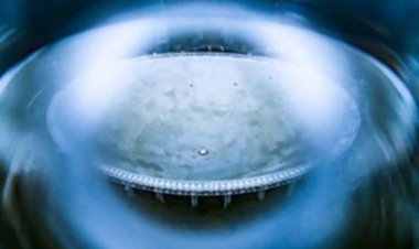 'फ्रीडम एट मिडनाइट' में आरिफ जकारिया बने जिन्ना, उनकी बहन फातिमा का किरदार निभाएंगी इरा दुबे