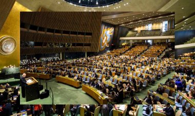 स्रेब्रेनिका नरसंहार की याद में संयुक्त राष्ट्र महासभा के प्रस्ताव से भारत ने बनाई दूरी