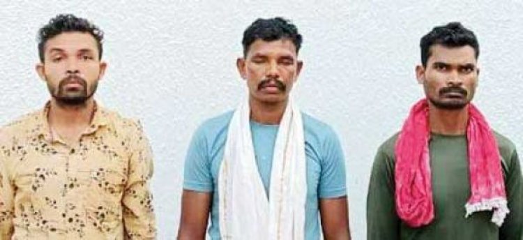 जनपद सदस्य और सरपंच की हत्या में शामिल तीन नक्सली गिरफ्तार