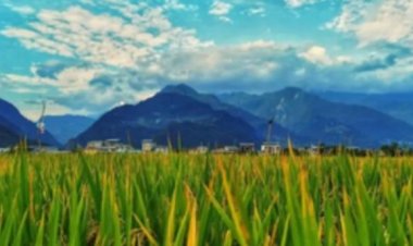 विश्व पर्यावरण दिवस : साकार होगा हरित विकास का सपना