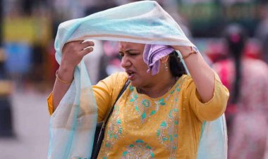 हिमाचल के इस शहर में बीकानेर से भी ज्यादा तापमान, देखें सबसे गर्म शहरों की लिस्ट