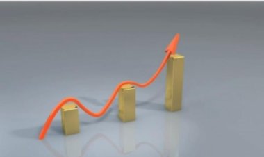 वित्त वर्ष 2024-25 में 7.5 प्रतिशत रह सकती है भारत की जीडीपी विकास दर : एनसीएईआर