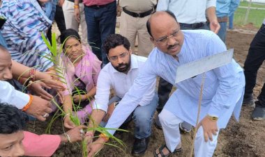 कलेक्टर ने ‘‘एक पेड़ मां के नाम’’ अभियान का जिले में पौधारोपण कर किया शुभारंभ