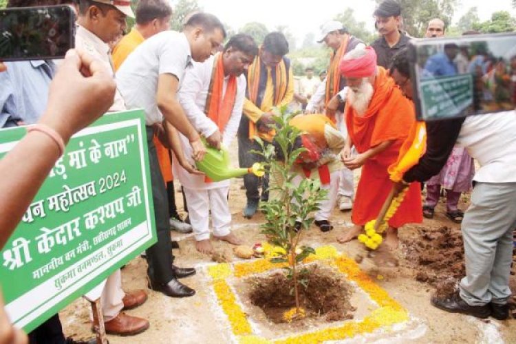 एक पेड़ मां के नाम : वन मंत्री, सांसद ने किया पौधरोपण