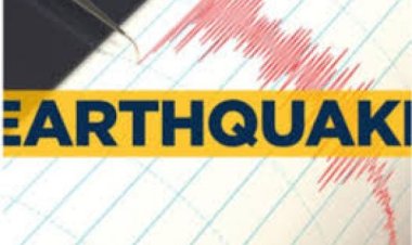 दक्षिणी कैलिफोर्निया में 5.2 तीव्रता का भूकंप आया, किसी नुकसान की खबर नहीं