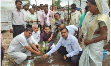 मोहगांव में कलेक्टर ने रोपित किया एक पेड़ मां के नाम