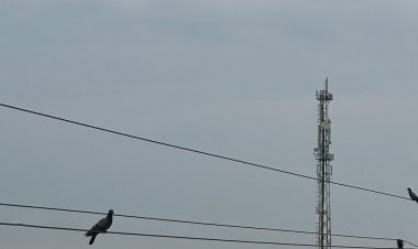 कुछ स्थानों पर हल्की बारिश की संभावना:जिले के अधिकांश हिस्से में बादलों का डेरा, अगले दो दिन ऐसा ही रहेगा मौसम