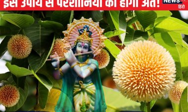 किसी के टोके बिना कर लें इस फूल का उपाय, अधूरे पड़े कामों में आ सकती तेजी