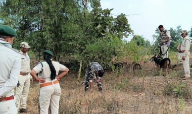 पन्ना में शिकारियों को वन विभाग ने पकड़ा:तार और खूंटी से लगा था सुराग, भालू का शिकार करने का आरोप था