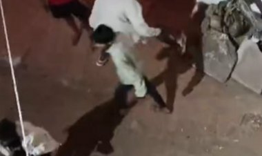 जबलपुर में देर रात बदमाशों ने घर पर पत्थर बरसाए...‌VIDEO:दिवाली की रात जुआ खेलने की बात पर हुआ था विवाद; हमले में दो भाई घायल