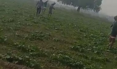 भिंड में ट्रैक्टर निकालने की बात पर चली गोली:अमायन में हुई मारपीट; मालनपुर के नौनेरा में भी दो घायल