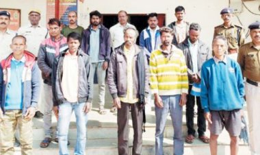 गौहत्या, 14 आरोपी गिरफ्तार