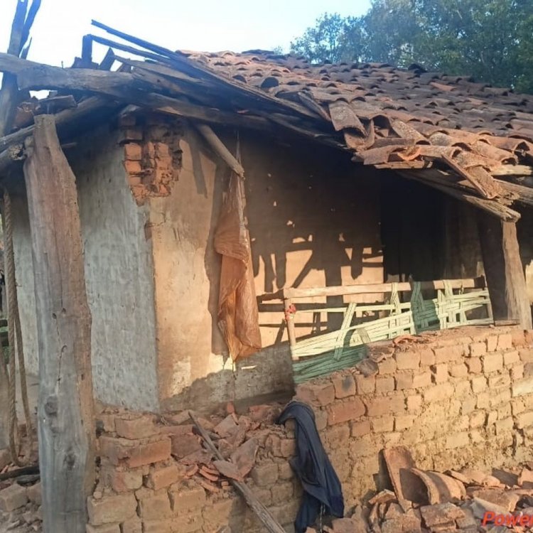 डिंडौरी में छत्तीसगढ़ से आए हाथियों का आतंक:गांव के कई घरों को किया क्षतिग्रस्त, अलर्ट पर वन-विभाग की टीम
