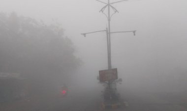 डिंडौरी में देर रात रिमझिम बारिश:सुबह से छाया कोहरा; सड़क पर लाइट जलाकर चले वाहन