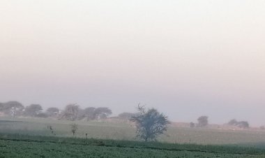 अशोकनगर में न्यूनतम तापमान 4.7 डिग्री:अधिकतम 23.4 पर आया, सुबह और रात के समय पड़ रही कड़ाके की ठंड