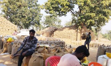 चावल जमा नहीं कराने वाले 32 मिलरों ने उठाव के लिए नहीं कराया पंजीयन