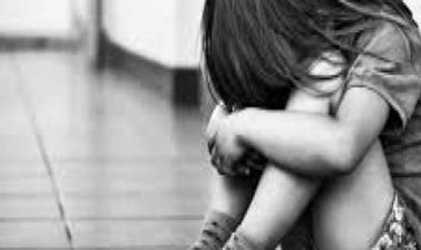 भेड़िया बन डरा था बच्ची को, किया बेड टच:खेलते समय नाबालिग से की छेड़छाड़; पुलिस ने आरोपी को हिरासत में लिया