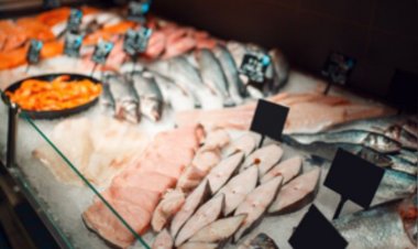 आईपीओ लाने जा रही सीफूड कंपनी कैप्टन फ्रेश को वित्त वर्ष 24 में हुआ 229 करोड़ रुपये का नुकसान