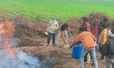 खरगोन की मिट्टी में 0.3 से 0.4 प्रतिशत कार्बन:विशेषज्ञों ने किसानों को कपास की काठी से सिखाया मैनेज करने का तरीका