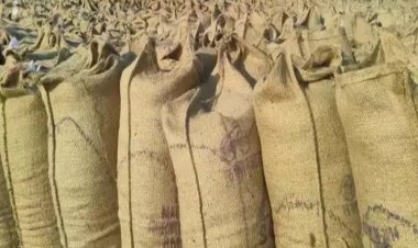 Chhattisgarh News : ट्रक में लदे 160 बोरी धान जब्त...अवैध परिवहन नाकाम...पढ़ें पूरी खबर