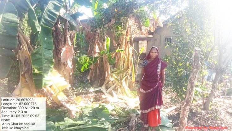 पैरी नदी पार कर धमतरी पहुंचा हाथी, 15 गांव में अलर्ट