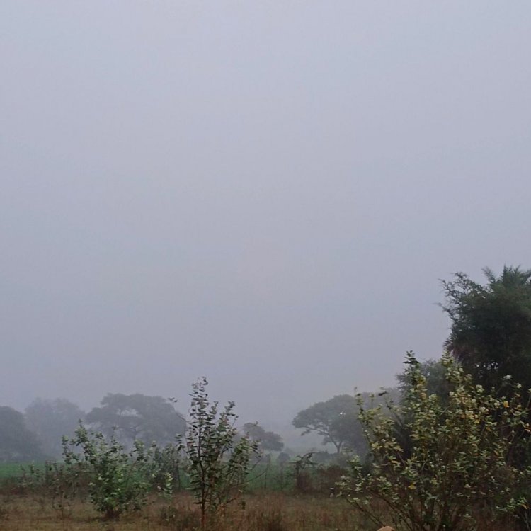 48 घंटे में 9 डिग्री गिरा न्यूनतम तापमान:धार में शीतलहर का असर, 12 जनवरी को बूंदाबांदी के आसार