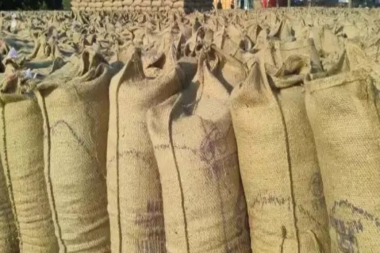 Chhattisgarh News : ट्रक में लदे 160 बोरी धान जब्त...अवैध परिवहन नाकाम...पढ़ें पूरी खबर