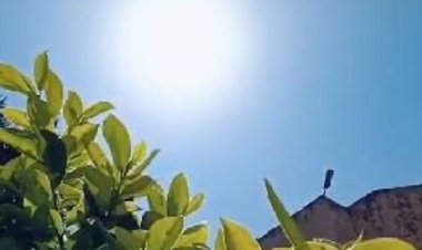 इंदौर में ठंडी हवा चलने से तापमान में गिरावट:कल के मुकाबले दिन और रात का पारा सामान्य से 2 डिग्री कम