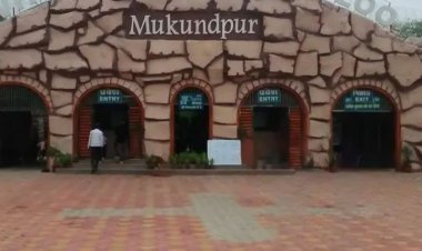 मैहर को बनाया अलग वन मंडल:608 वर्ग किमी वन क्षेत्र और व्हाइट टाइगर सफारी का प्रशासनिक नियंत्रण मिला