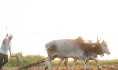 सबके जीवन में खुशहाली लाना ही हमारा मूल लक्ष्य: मुख्यमंत्री डॉ. यादव