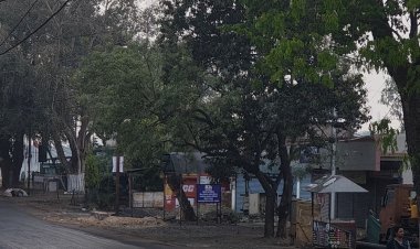 मंडला में 24 घंटों में दर्ज हुई 1 मिमी बारिश:ओलावृष्टि से किसानों की फसलें खतरे में, 40-50 किमी की रफ्तार से चल सकती हैं हवाएं