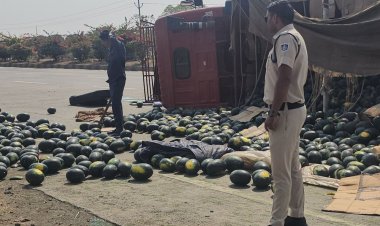 सरकारी नौकरी:मध्य प्रदेश में फूड सेफ्टी ऑफिसर की भर्ती, 27 अप्रैल तक कर सकते हैं अप्लाई
