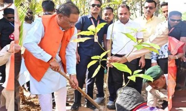 मुख्यमंत्री विष्णुदेव साय ने बगिया में पर्यावरण वाटिका का किया लोकार्पण