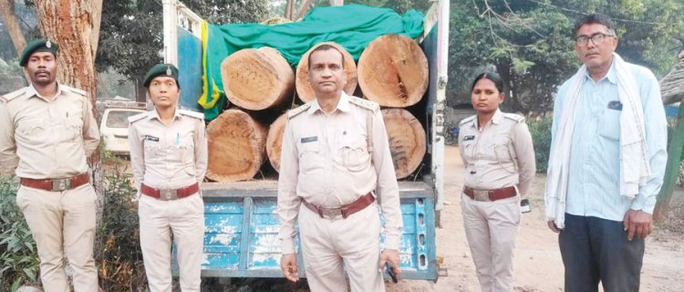 रेवतपुर जंगल से भारी मात्रा में लकड़ी लोड पिकअप जब्त