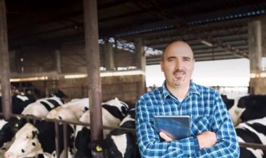 सरकारी नौकरी:महाराष्ट्र लोक सेवा आयोग ने 3511 पदों पर निकाली भर्ती; लास्ट डेट 19 मई, सैलरी 1 लाख 82 हजार तक