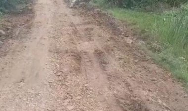 मुरम डालकर बच्चों के लिए स्कूल की राह आसान की:सरपंच बोले- अभी पक्की सड़क निर्माण के लिए पैसे नहीं, बारिश के बाद प्रयास करेंगे