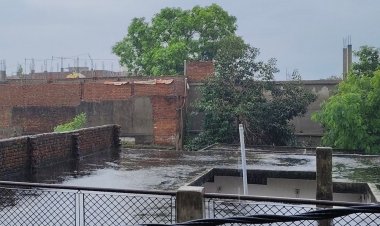 लेक्चरर-कोच एग्जाम के 9 सब्जेक्ट की मॉडल आंसर-की जारी:कल से कैंडिडेट्स दर्ज करा सकेंगे ऑनलाइन आपत्तियां, 18 जुलाई लास्ट डेट