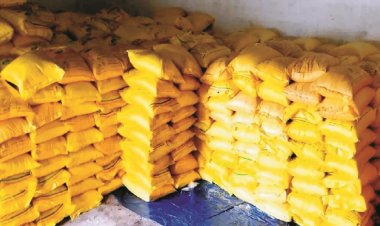 खरीफ के लिए दुर्ग संभाग में 80 प्रतिशत उर्वरक उपलब्ध