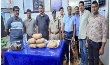 ट्रेनों में नशे की तस्करी पर लगाम, 10 दिनों में 15.31 लाख के मादक पदार्थ जब्त