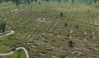 खंडवा में अतिक्रमण हटा तो फिर पनपी हरियाली:जंगल में खोदे कंटूरों में पानी भरा; देखिए 5 हजार एकड़ जंगल का ड्रोन नजारा