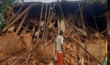 पसान रेंज में हाथियों का उत्पात: मकान तोड़े, फसल चौपट, ग्रामीण भयभीत