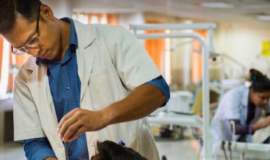 सरकारी नौकरी:बिहार में 939 पदों पर भर्ती का नोटिफिकेशन जारी; 10 अक्टूबर से आवेदन शुरू, एज लिमिट 37 साल