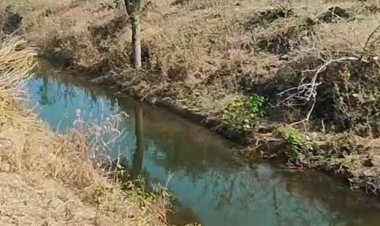 खरगोन में चांदगढ़ तालाब की नहर में सीपेज का पानी:रबी की फसल पीली पड़ी, 7 साल से नहीं हुई मरम्मत