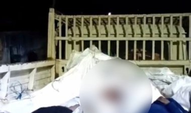 अज्ञात वाहन की टक्कर से दो सगे भाइयों की मौत:दतिया में एक ही बाइक से घर लौट रहे थे, मजदूरी कर पालते थे परिवार