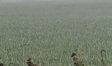 सीहोर में न्यूनतम तापमान 6 डिग्री सेल्सियस:23 से 25 जनवरी के बीच हल्की बारिश की संभावना